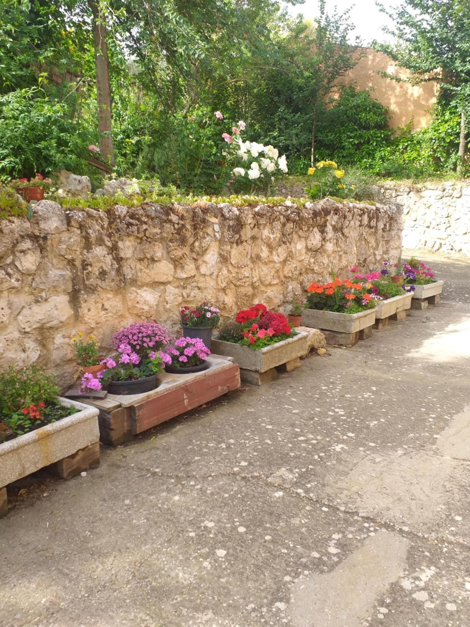 El Salegar Villa Roturas ภายนอก รูปภาพ